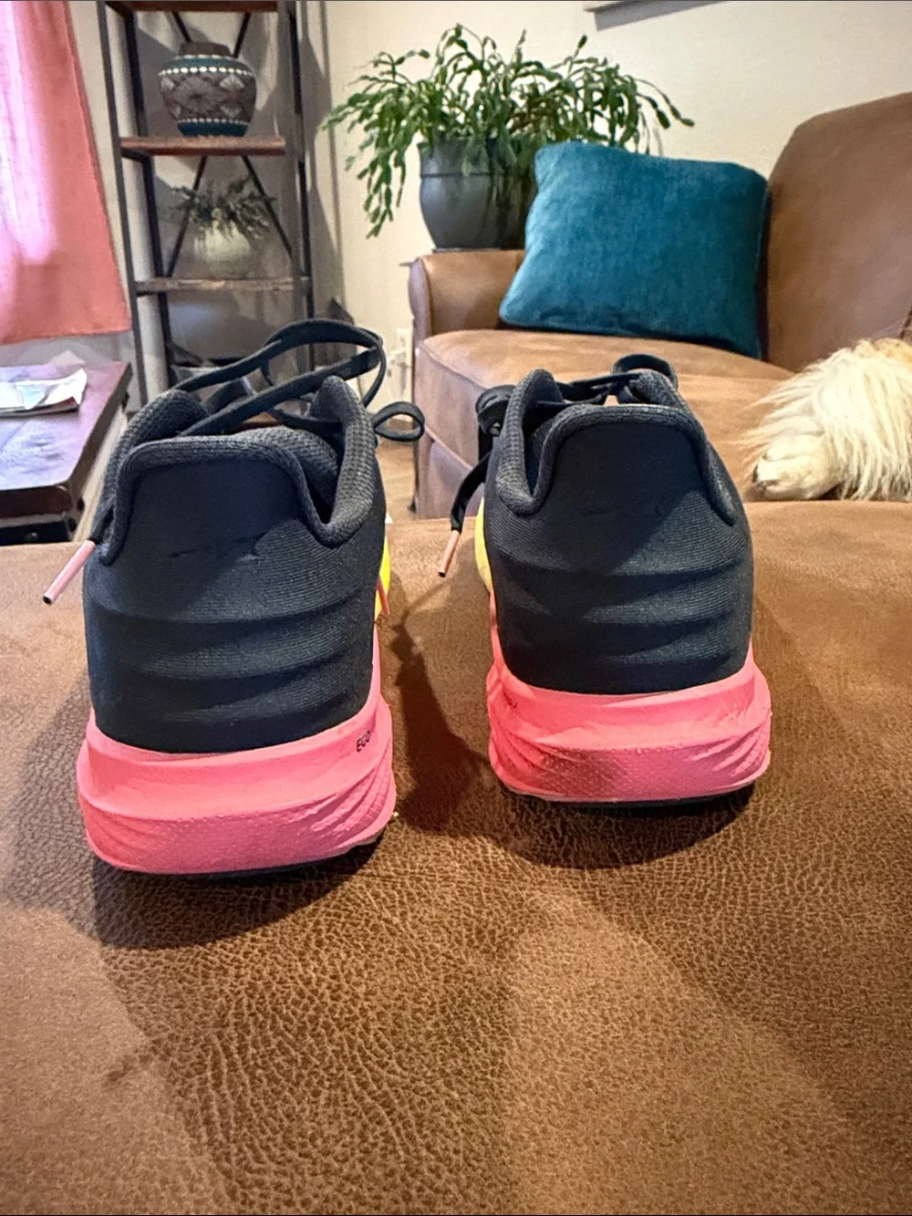 Altra Women's Black Running Shoes with Yellow and Pink Gradient Midsole Accent